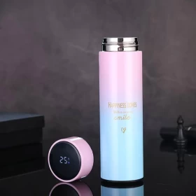 Smart Water Bottle